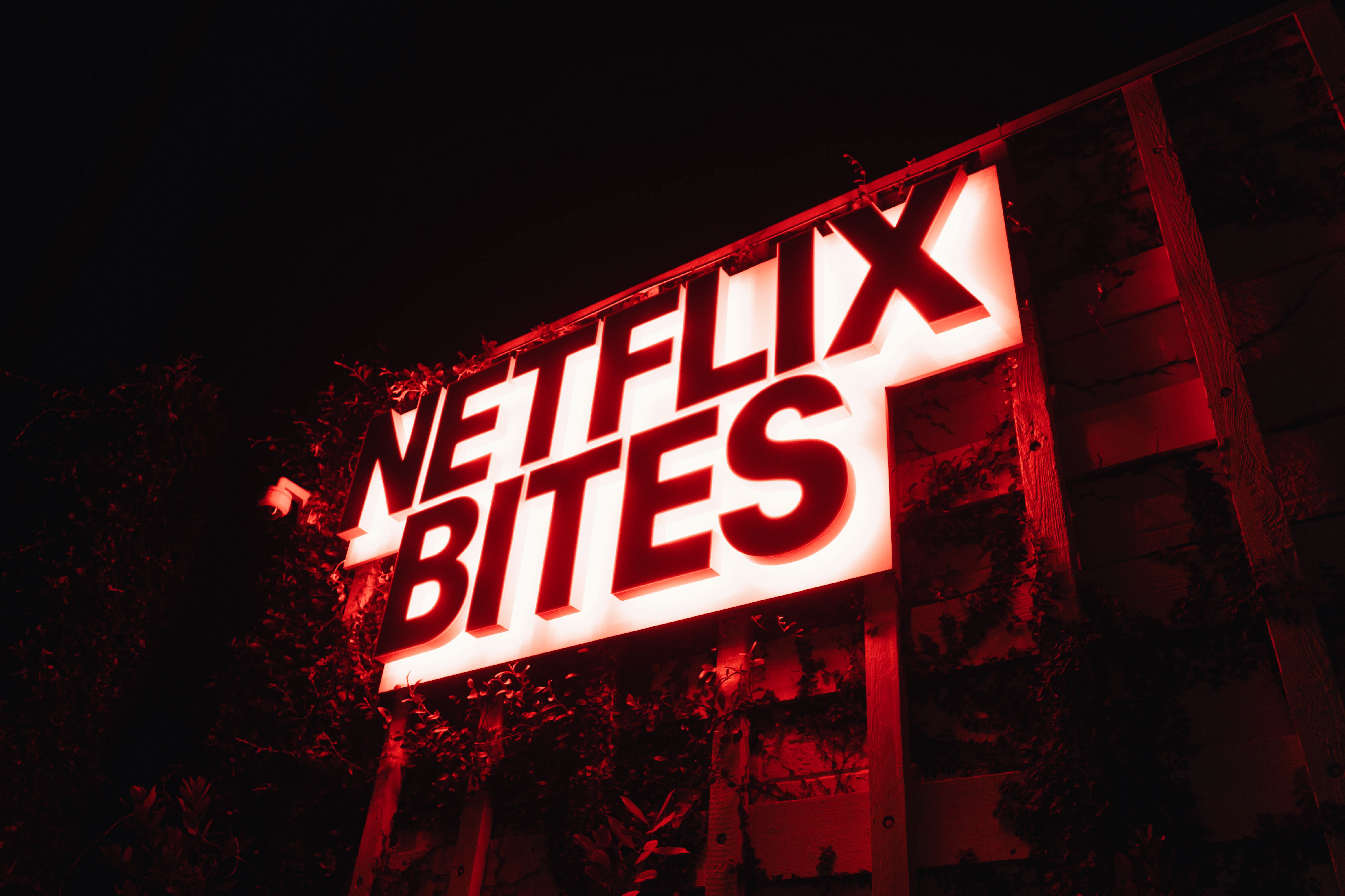 Netflix Bites Visual Identity : New Studio